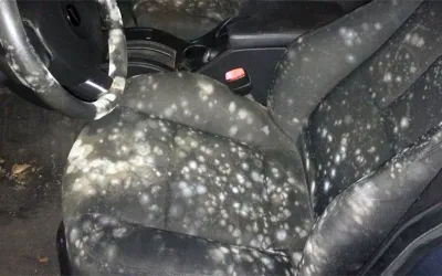 De ce este mereu udă podeaua mașinii - cauze și soluții