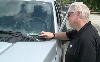 Pot fi falsificate numerele VIN ale mașinilor și cum te poți proteja