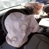 Airbag Repair Cost and Available Options