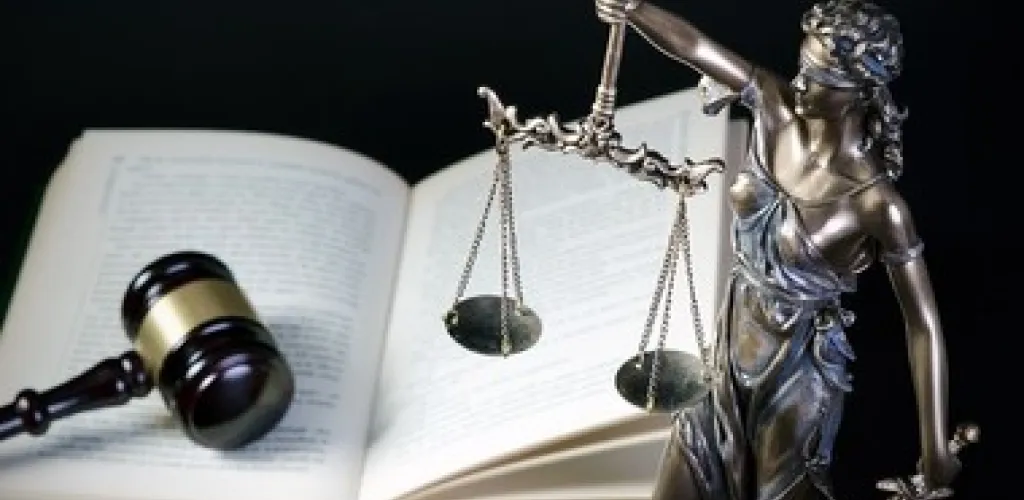 Contestație amendă rovinietă 2026 – model plângere + termen legal