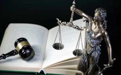 Contestație amendă rovinietă 2026 – model plângere + termen legal