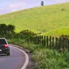 Verificarea RCA: ghid complet pentru șoferii responsabili
