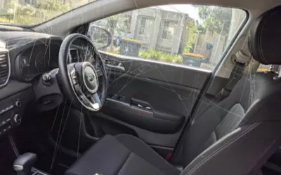 Cum să scapi de păianjeni și insecte din mașină - Ghid complet