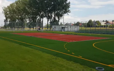 Care este legatura dintre terenul de fotbal si garajiul ideal? Gazonul perfect.