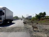 VIDEO: 72 de km în 2 ore și 20 de minute. Atât durează să înconjori Bucureștiul pe Centură. 