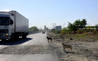 VIDEO: 72 de km în 2 ore și 20 de minute. Atât durează să înconjori Bucureștiul pe Centură. 