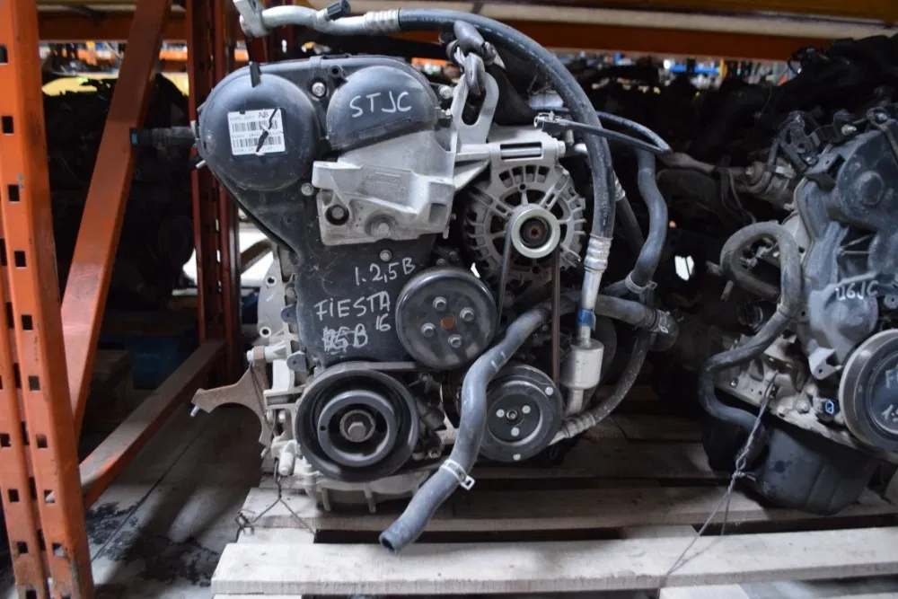 Motor Fiesta 1.25 Benzina