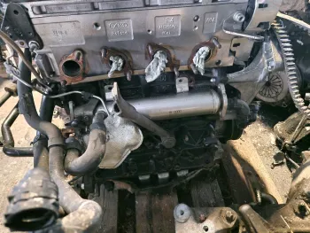 Motor CBD
