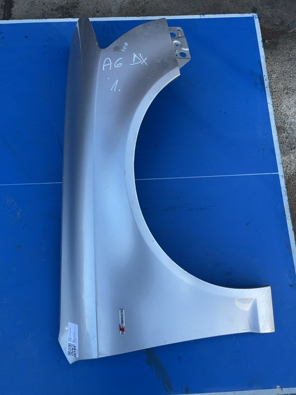Aripă - Culoare: Gri, Parte montare: Dreapta - Audi A6 4F/C6 [2004 - 2008]