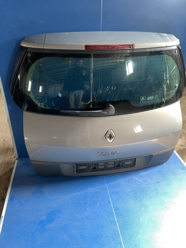 Haion - Culoare: Gri, Varianta: Minivan - Renault Scenic 2 generation [2003 - 2006] Minivan 5-doors