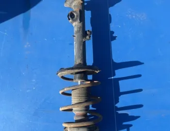 Ansamblu amortizor arc
