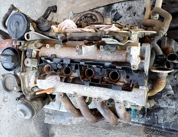Motor - Alte specificații: Fără accesorii - Volkswagen Golf 5 generation [2003 - 2009] Hatchback 5-doors 1.6 FSI MT (115 hp)