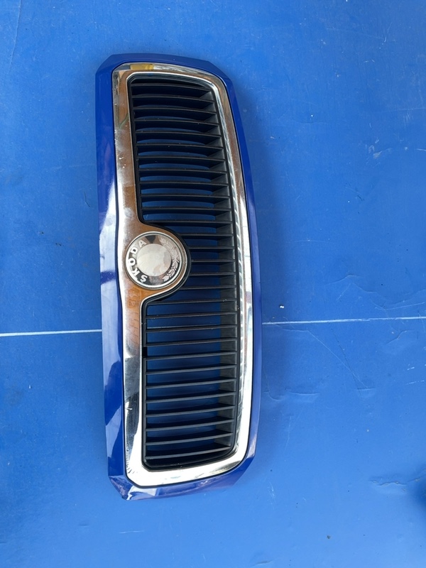 Grilă radiator - Culoare: Albastru - Skoda Fabia 1 generation [restyling] [2004 - 2007] wagon 5 doors 1.4 MT (80 hp)
