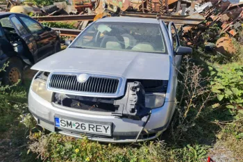 Broasca usa spate dreapta Skoda Fabia 6Y [1999 - 2004] Combi wagon 5-usi 1.9 TDI MT (101 hp)