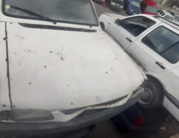 Dacia Pick-Up  [1975 - 2006]