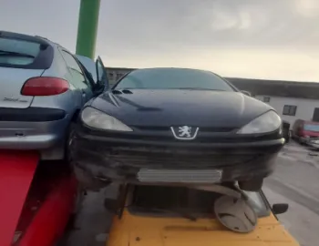 Amortizor fata stanga Peugeot 206  [1998 - 2003] Hatchback 3-usi 1.9 D MT (70 hp)
