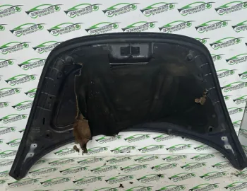 Capota motor Volkswagen VW Beetle 2 [1998 - 2005] Hatchback 3-usi 1.9 TDI MT (100 hp)