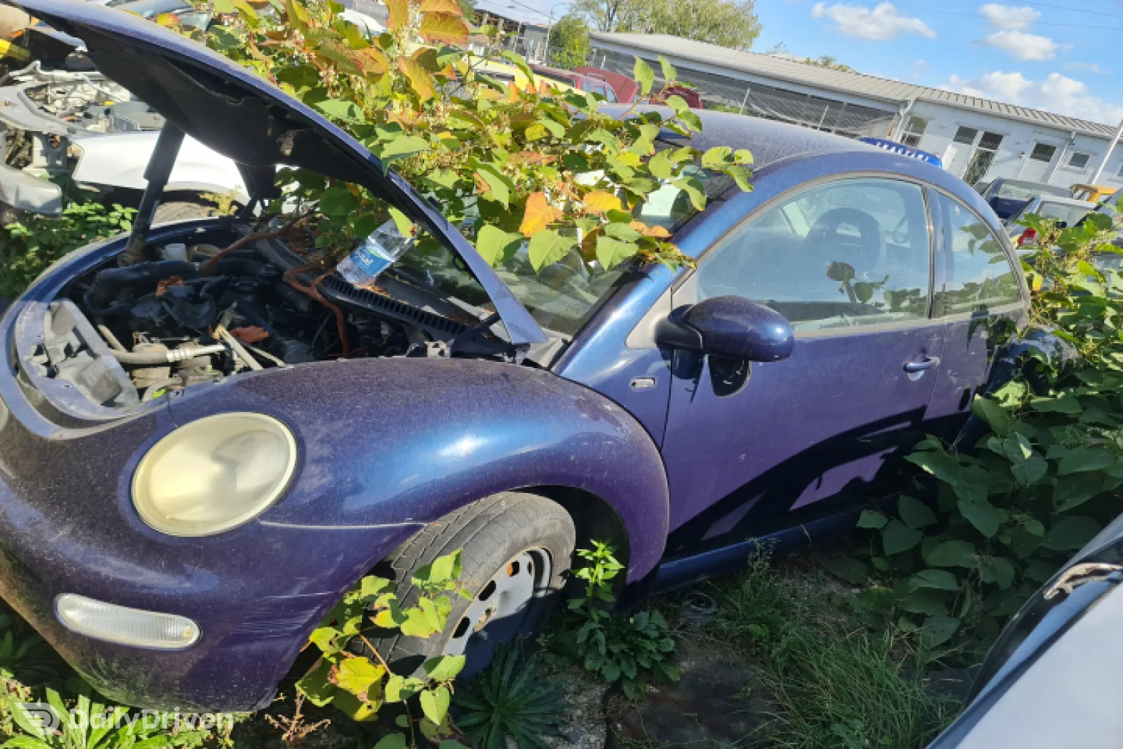 Capota motor Volkswagen VW Beetle 2 [1998 - 2005] Hatchback 3-usi 1.9 TDI MT (100 hp)