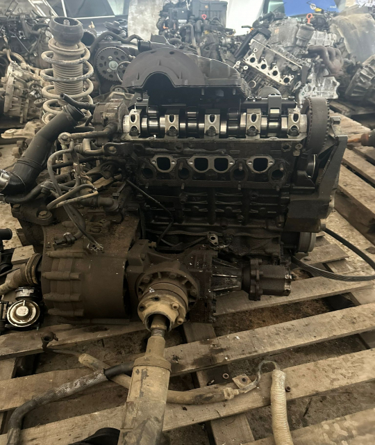 Chiulasa Volkswagen VW Sharan  [facelift] [2000 - 2003] Minivan 1.9 TDI MT (115 hp)