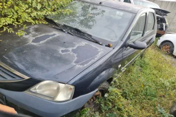 Usa / Portiera fata dreapta Dacia Logan  [2004 - 2008] Sedan 1.4 MT (75 hp)