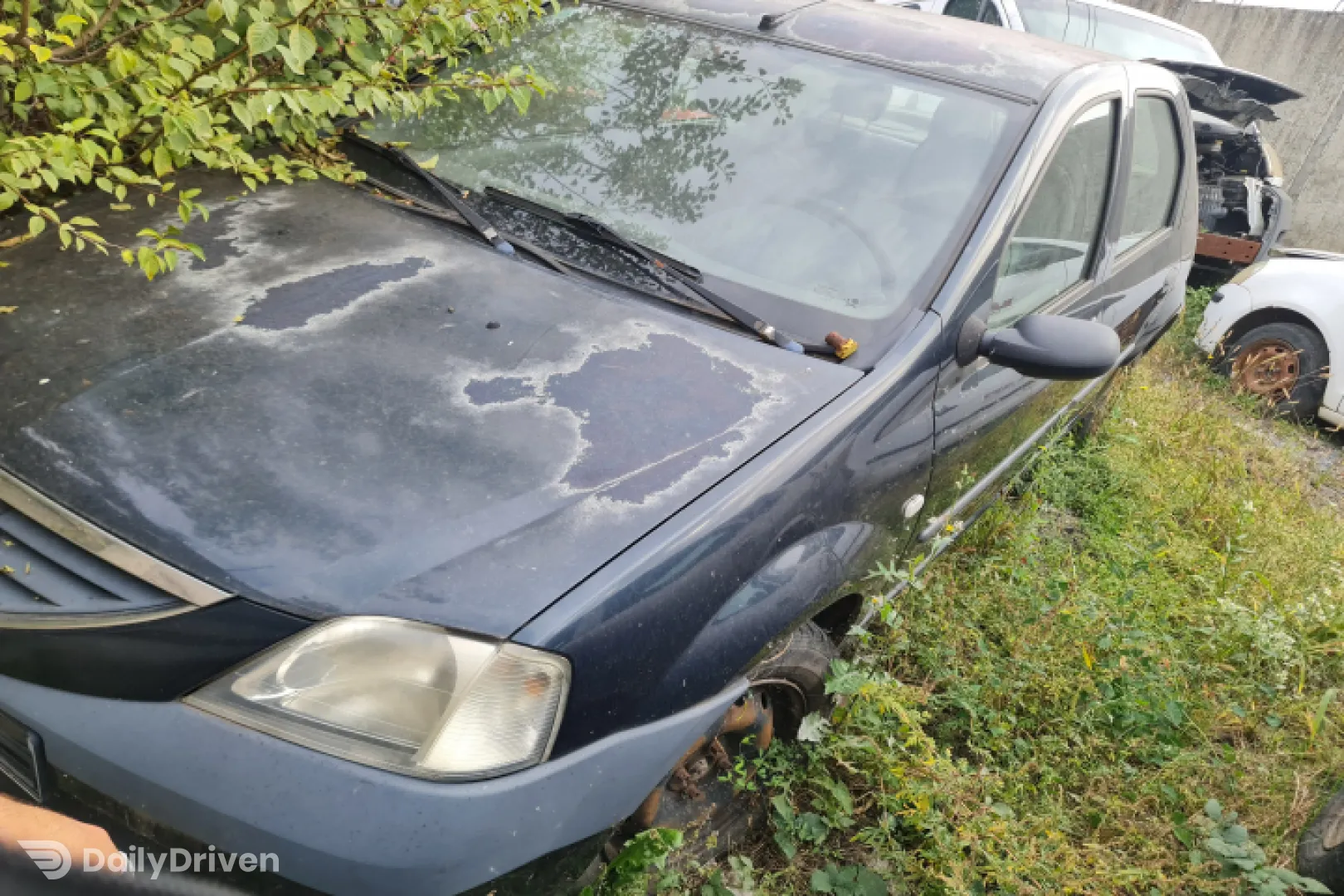 Compresor AC 8200802608 Dacia Logan  [2004 - 2008] Sedan 1.4 MT (75 hp)