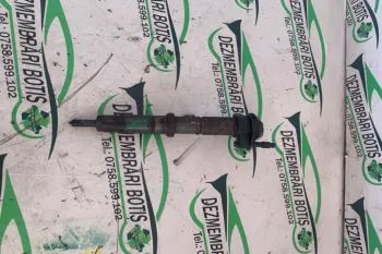 Injector motorina 0445115029 Volkswagen VW Crafter  [2006 - 2012]