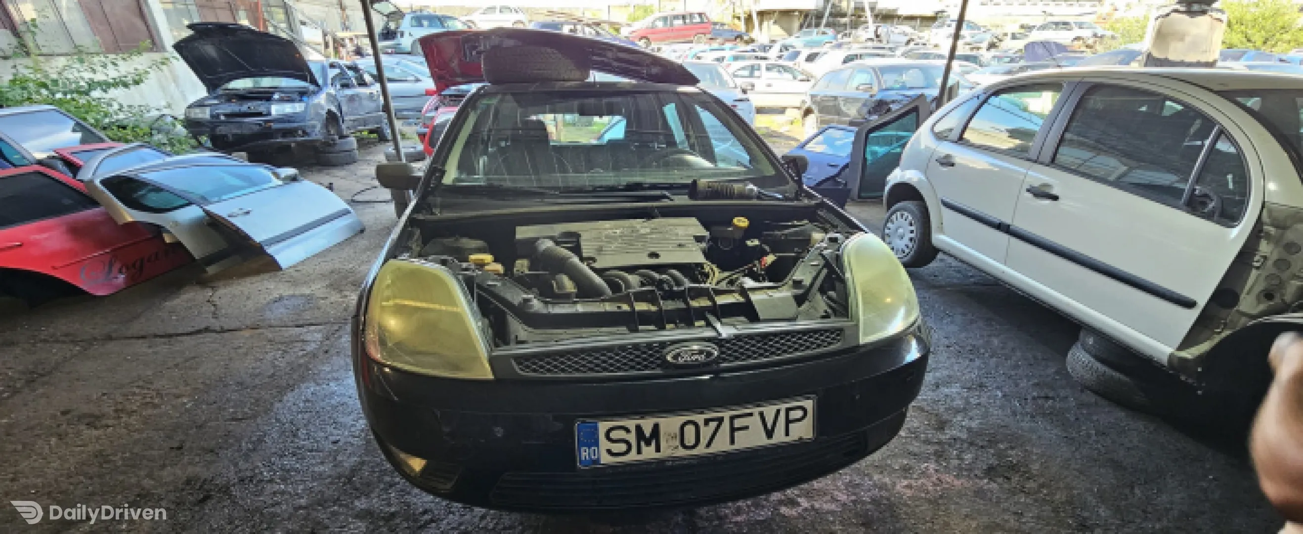 Amortizor hayon dreapta Ford Fiesta 5 [2001 - 2007] Hatchback 5-usi 1.4 MT (80 hp)