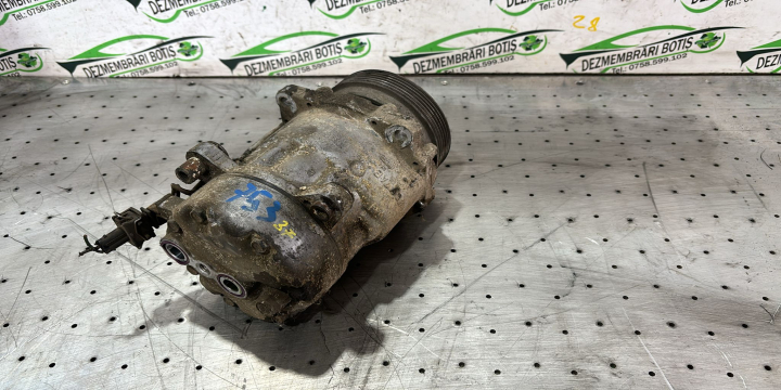 Compresor AC Volkswagen VW Sharan  [1995 - 2000] Minivan 5-usi 1.9 TDI MT (110 hp)