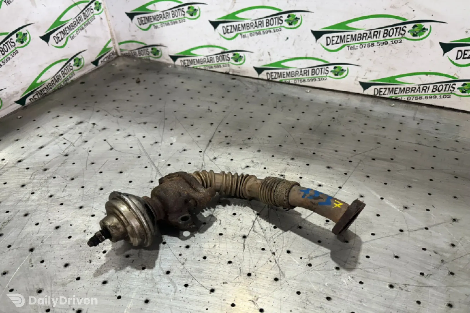 Egr Volkswagen VW Sharan  [1995 - 2000] Minivan 5-usi 1.9 TDI MT (110 hp)