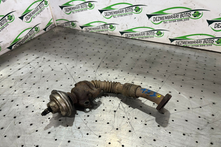 Egr Volkswagen VW Sharan  [1995 - 2000] Minivan 5-usi 1.9 TDI MT (110 hp)