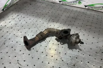 Egr Volkswagen VW Sharan  [1995 - 2000] Minivan 5-usi 1.9 TDI MT (110 hp)