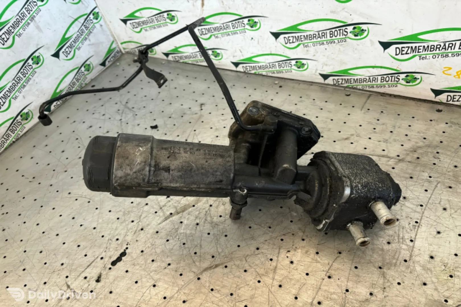 Termoflot racire ulei Volkswagen VW Passat B5 [1996 - 2000] wagon 1.9 TDI MT (115 hp)