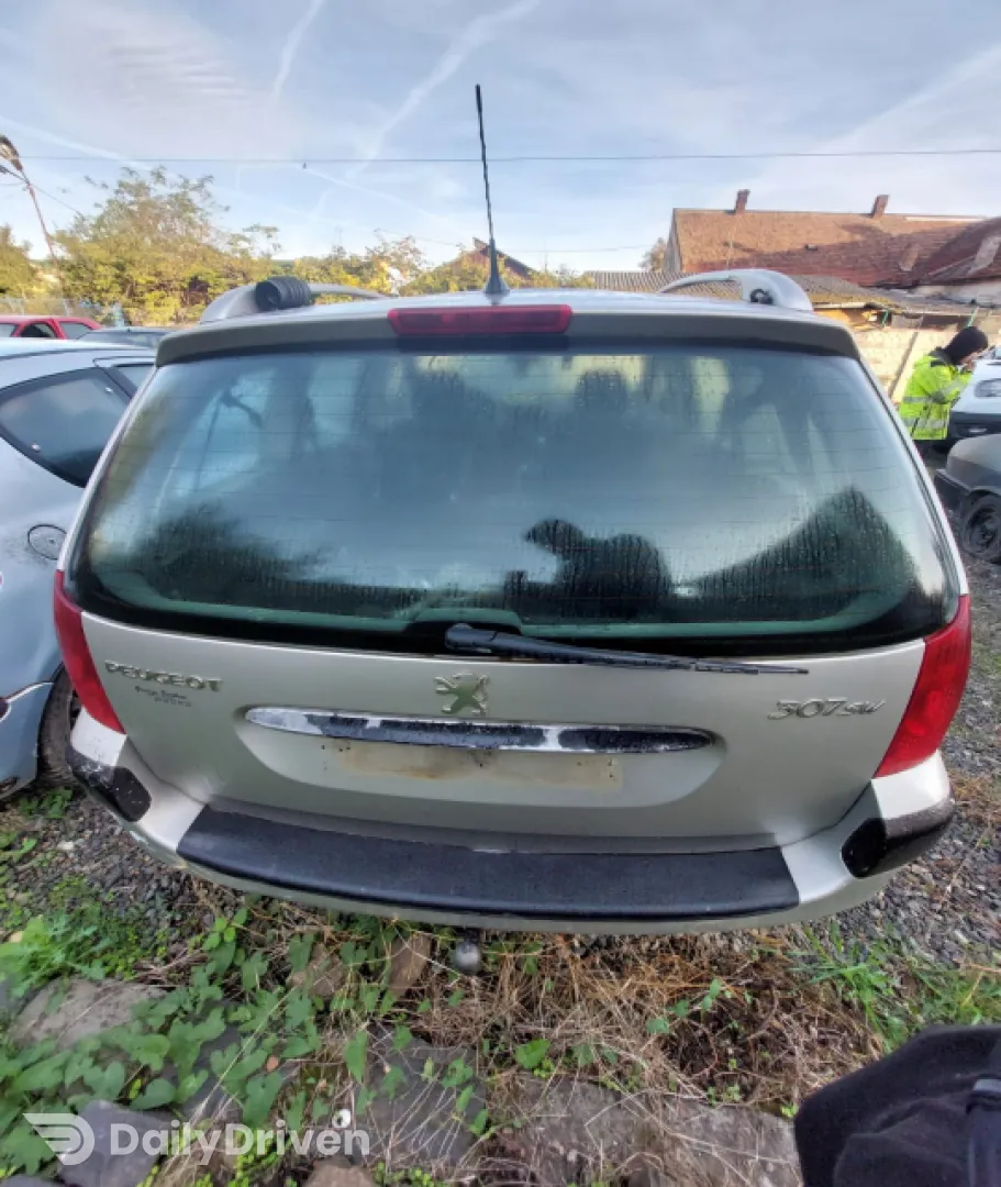 Suport roata de rezerva Peugeot 307  [facelift] [2005 - 2008] wagon