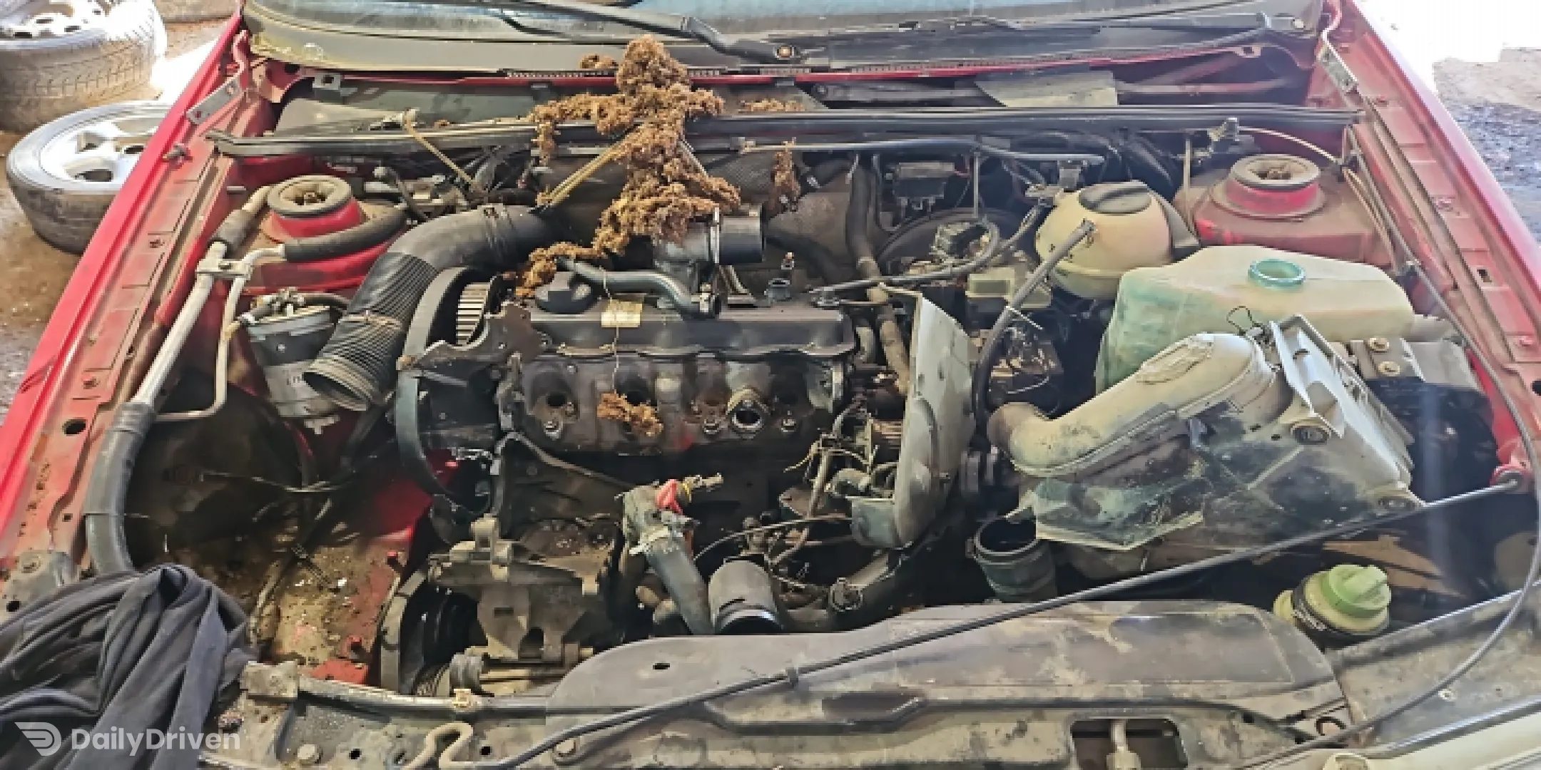 Compresor AC Volkswagen VW Passat B4 [1993 - 1997] wagon