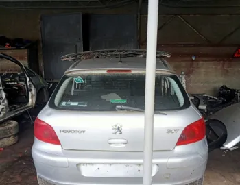 Galerie admisie @687 038-129-713-AD Peugeot 307  [2001 - 2005] Hatchback 5-usi 1.6 MT (109 hp)