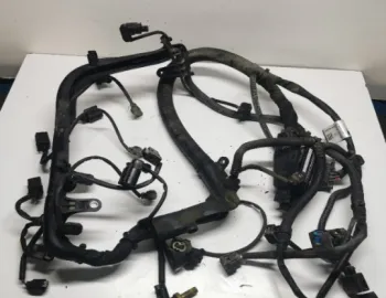 Cablaj Motor Bosch Smart Fortwo  [1998 - 2002] Hatchback 0.6 AMT (61 hp)
