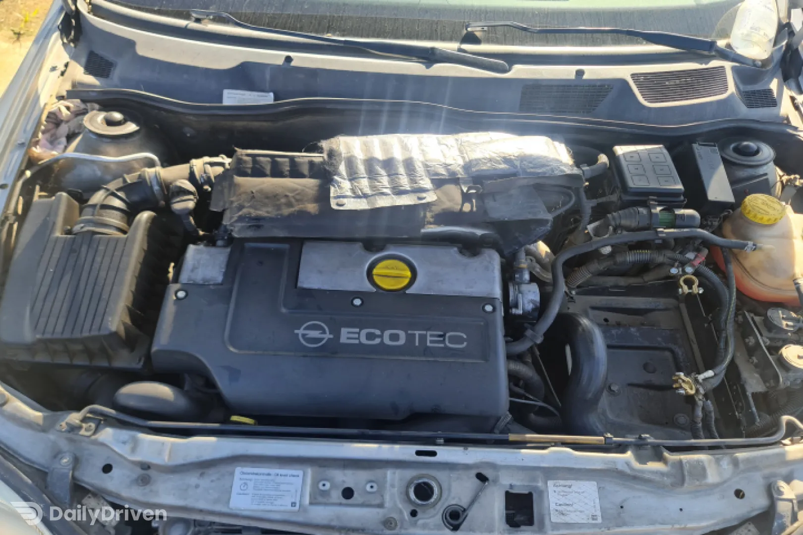 Termoflot racire ulei GM 90 571 672 Opel Astra G [1998 - 2009] Hatchback 5-usi 2.0 DTI MT (101 hp)