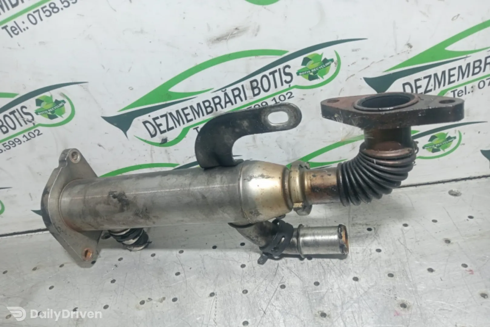 Racitor Gaze Volvo XS1134 Ford Focus 2 [2004 - 2008]