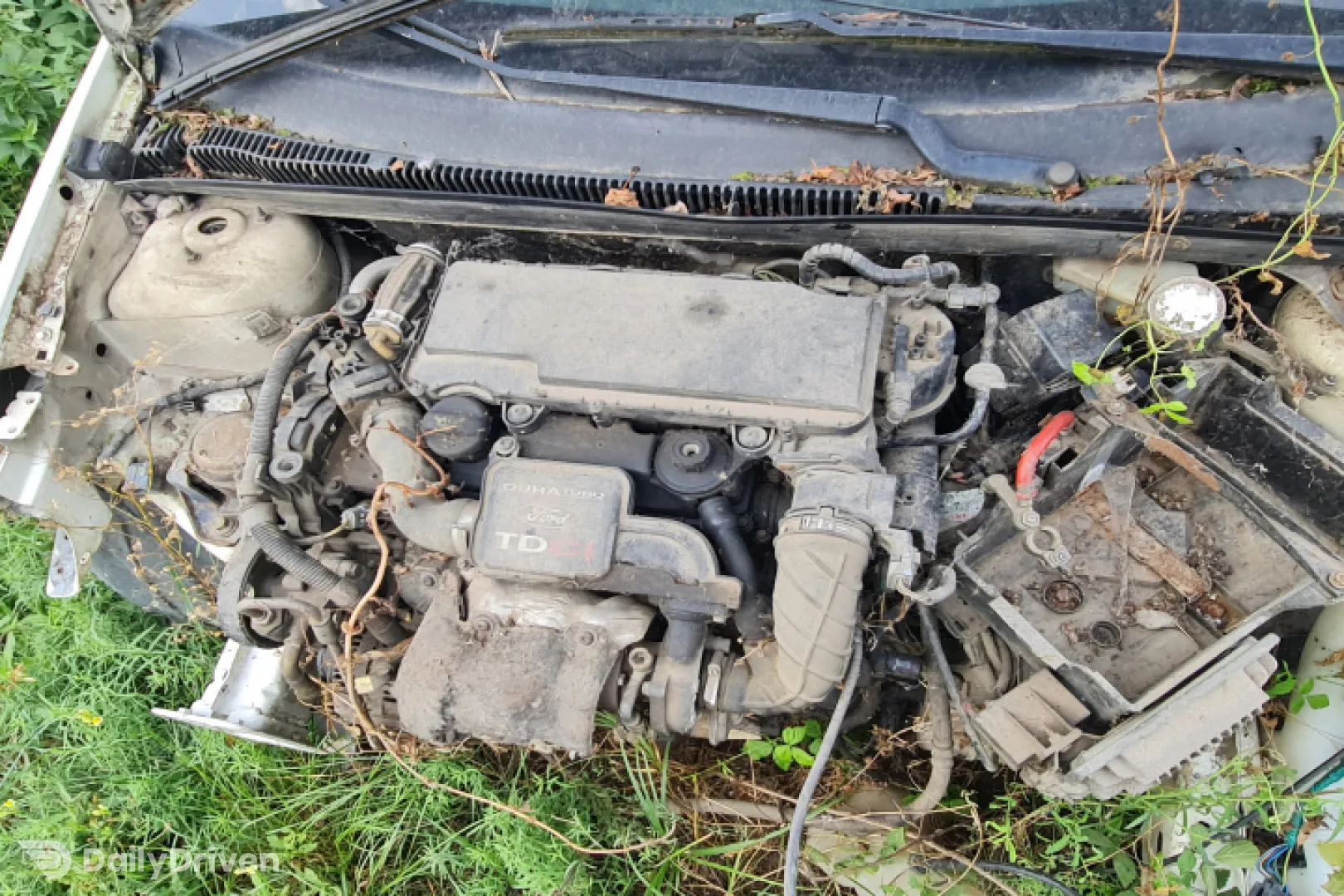 Dezmembram Ford Fiesta 5 [2001 - 2007] Hatchback 5-usi 1.4 TDCi MT (68 hp)