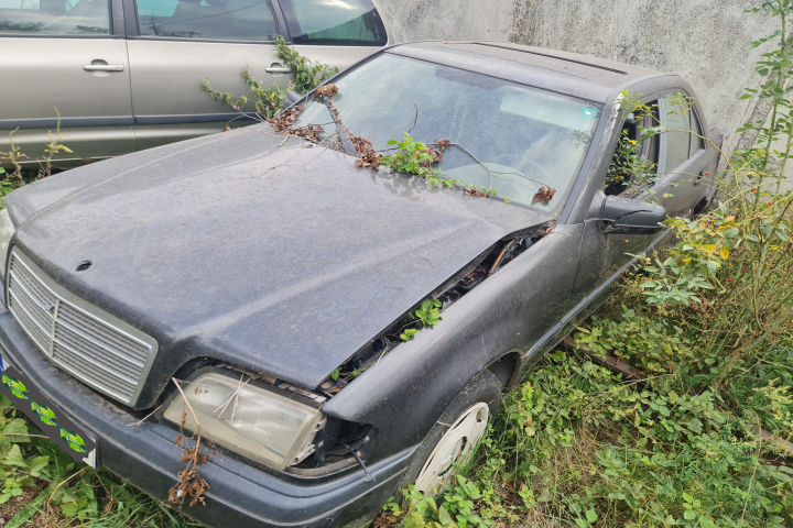 Dezmembram Mercedes-Benz C-Class W202/S202 [1993 - 1997] Sedan C 180 MT (122 hp)