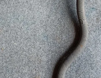 Conducta clima AC BMW Seria 2 F22, 2.0 d N47, 9212232