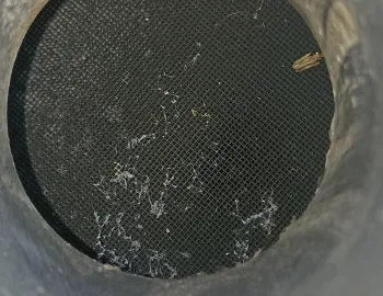 Catalizator Mercedes Vito W638, 103R-000465