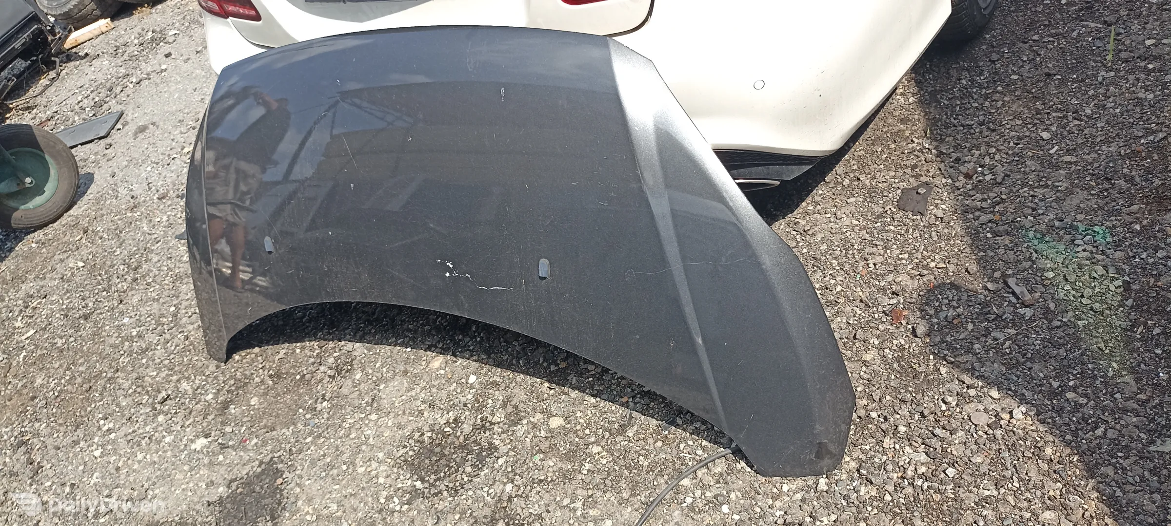 capota motor Ford Transit Custom facelift, 2018-2022