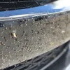 Come pulire gli insetti dall'auto?