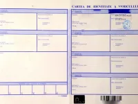 Ce este cartea mașinii și în cât timp se eliberează