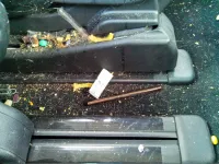 Come pulire un tappeto per auto per rimuovere muffa, sporco e macchie