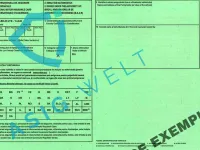 Accidente rutiere în străinătate: ghid complet despre asigurare și despăgubiri