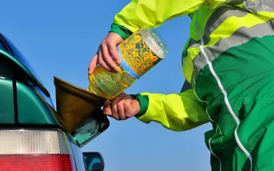 Vegetable oil as fuel: what you should know before trying