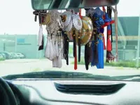 Amenzi de până la 2.900 lei pentru șoferii cu iconițe în parbriz: ce spune legea