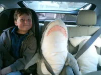 Come abituare i bambini a indossare la cintura di sicurezza in auto